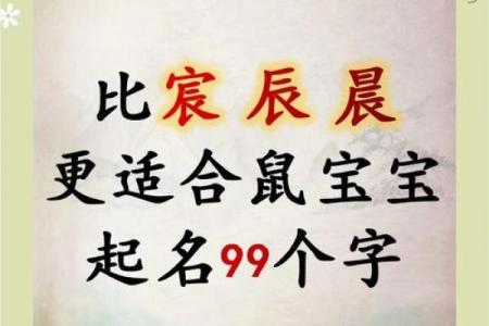 傍晚7点出生的属鼠男孩怎么样取名字姓名