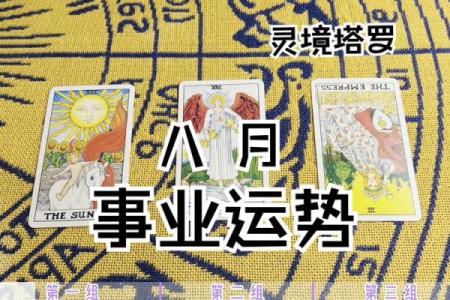 塔罗牌测试八月你的健康运