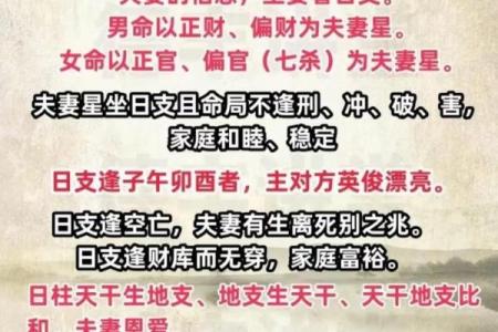 周易八字命理学 周易八字命理学详解