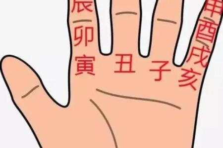 女生八字盘详解及分析，揭秘八字算命的秘密！