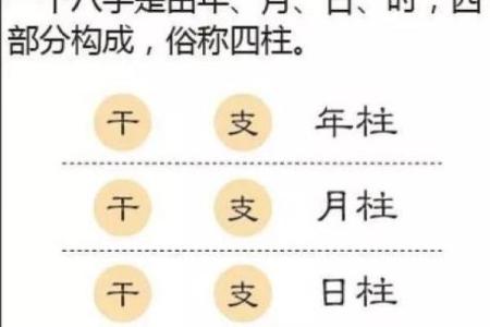 金口诀排好盘后怎么看