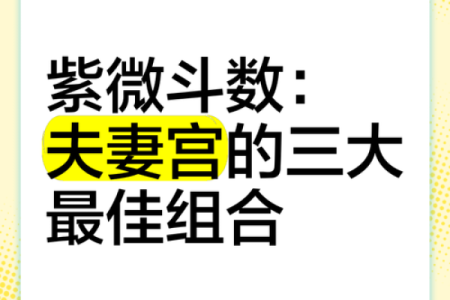 紫薇斗数夫妻同盘