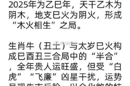 94年属狗和97年属牛八字合吗
