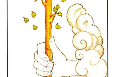 塔罗测试：你适合当老师嘛？