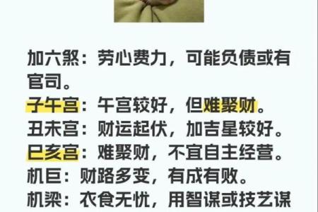 紫薇斗数怎么财运