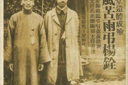 杨杏佛紫薇斗数盘