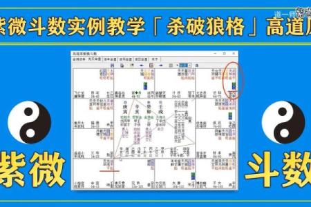 紫薇斗数格局测算