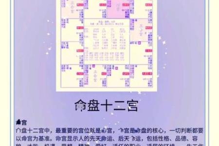 紫微斗数诸星落命宫之：天月星详解