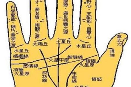 手相算命：几种重要的手纹图解