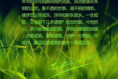 离别的八字
