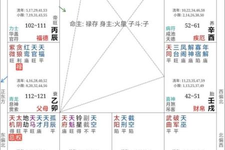 紫薇斗数婚姻测算