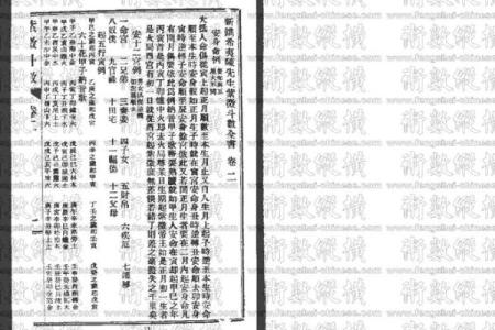 高级紫薇斗数书