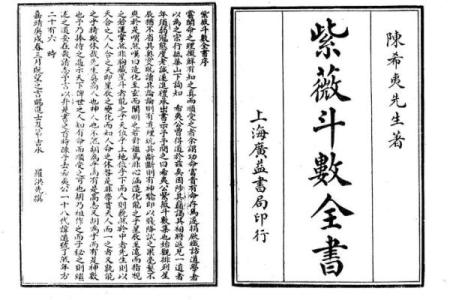 紫薇斗数全书架构