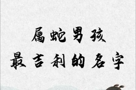 5月份出生的属蛇男孩该怎样取名字姓名