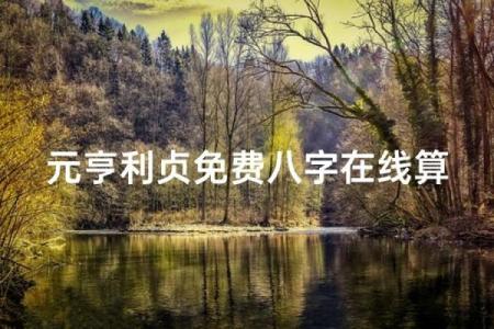 元亨利贞网八字排盘