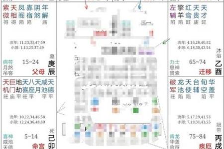 紫微斗数太阳太阴在疾厄宫