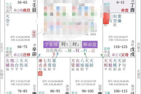 紫薇斗数流年看考试