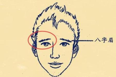 男人八字眉能嫁吗？八字眉男人命运怎么样？