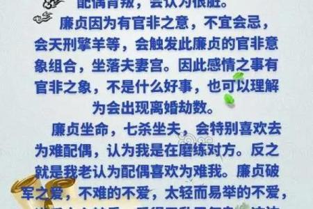 紫微斗数之事业宫与诸星，廉贞星在事业宫是什么意思？