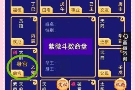 紫薇斗数男命主要看什么宫位