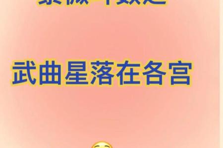紫微斗数之事业宫与诸星，武曲星在事业宫是什么意思？