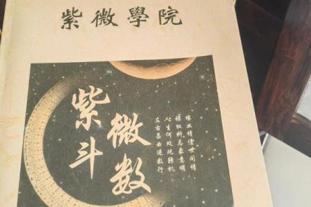 紫微斗数开班 紫微斗数入门教学讲座视频？