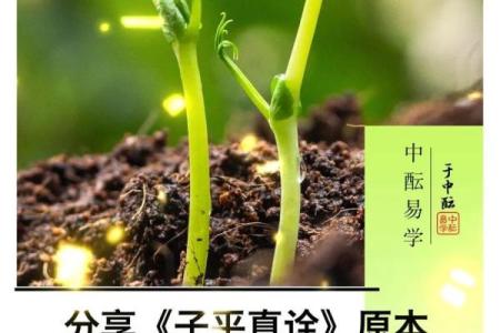 子平八字算命app