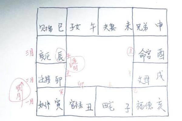 紫薇斗数排盘步骤