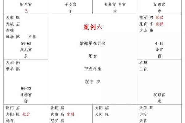 紫薇斗数巨富的条件