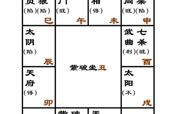 紫薇斗数入门更好的书