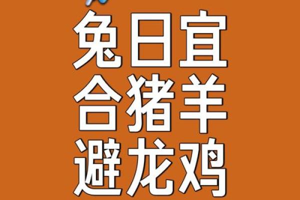 鼠和兔八字合不合 鼠兔八字相合吗