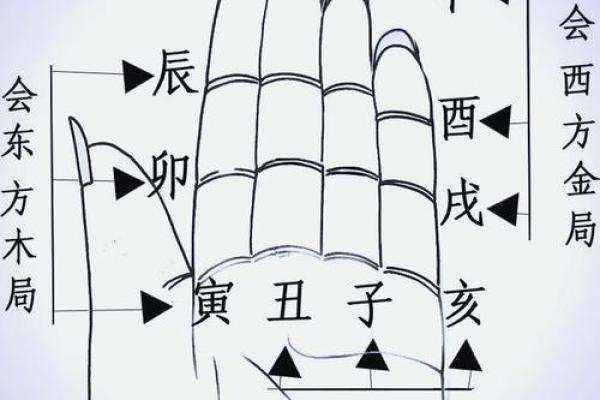 八字新手入门：三会局是什么？