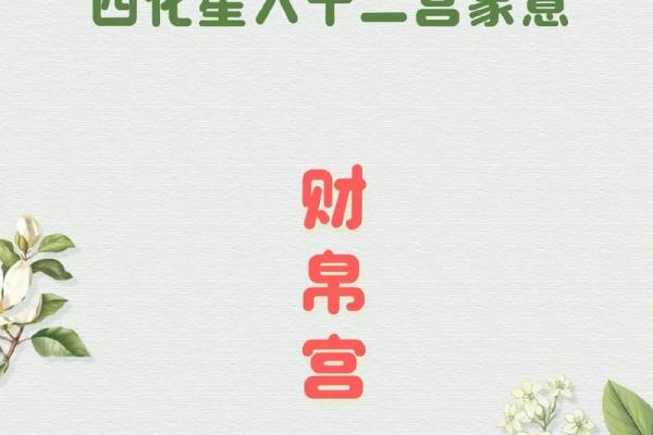 紫薇斗数拼音