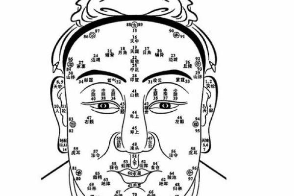 看相算命书