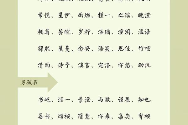 2019年4月21号丑时出生的男孩起名方法姓名