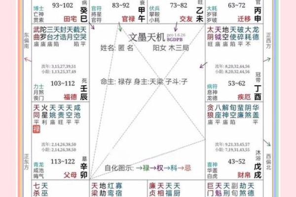 紫薇斗数名词