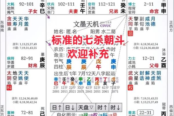 大数据紫薇斗数