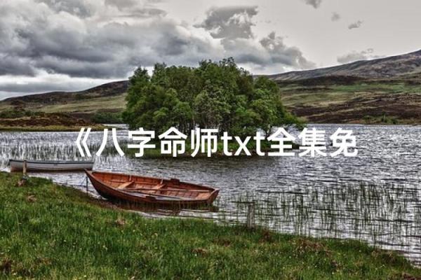 八字txt