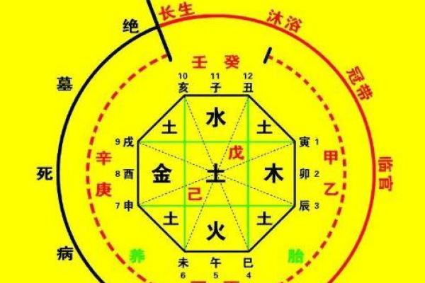 网上的算命软件准不准