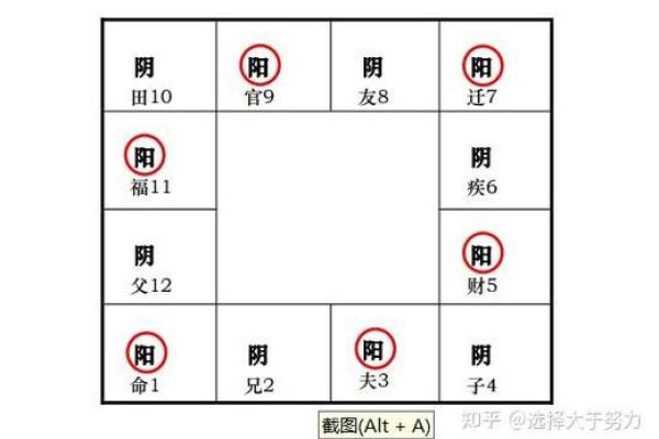 紫薇斗数官禄宫配偶