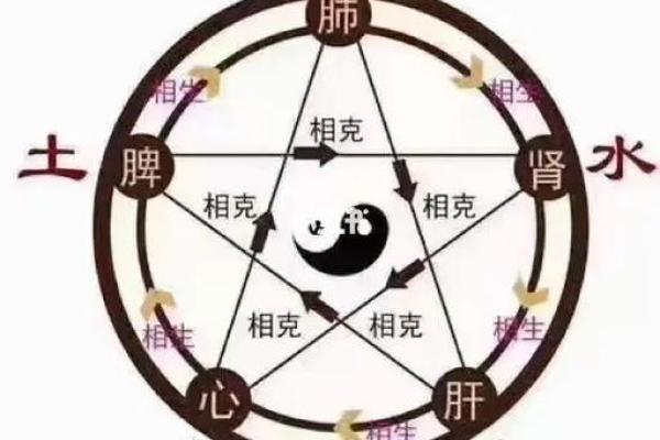 八字看健康；和中医的共通之处