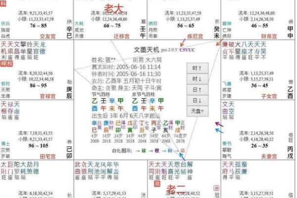 紫微斗数之定十二宫星曜落闲宫