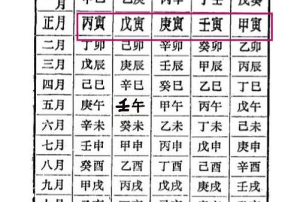 甲戌丙子己卯乙丑八字详解及运势分析