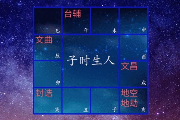 紫薇斗数定盘软件