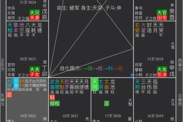 紫薇斗数流年怀孕