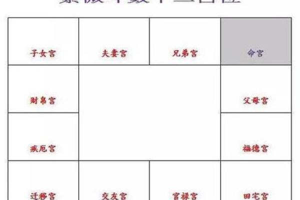 紫薇斗数流年怀孕