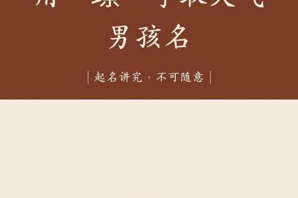 属猴丑时出生的男孩怎样取名字，宜用哪些字姓名