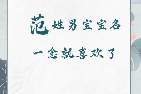 范姓女孩名字大全-范姓女孩起名字大全-范姓名字大全姓名