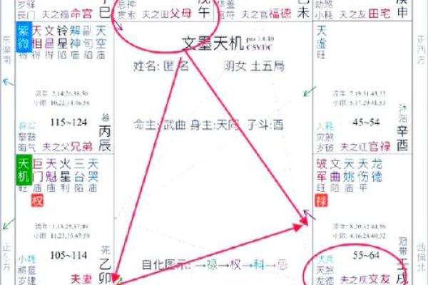 紫微斗数看配偶身材紫微 怎么通过紫微斗数看配偶身高？