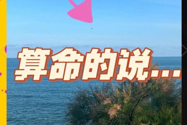 当中国算命遇上外国算命